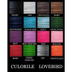 culorile_lovebird_2_1_4_1_5_1